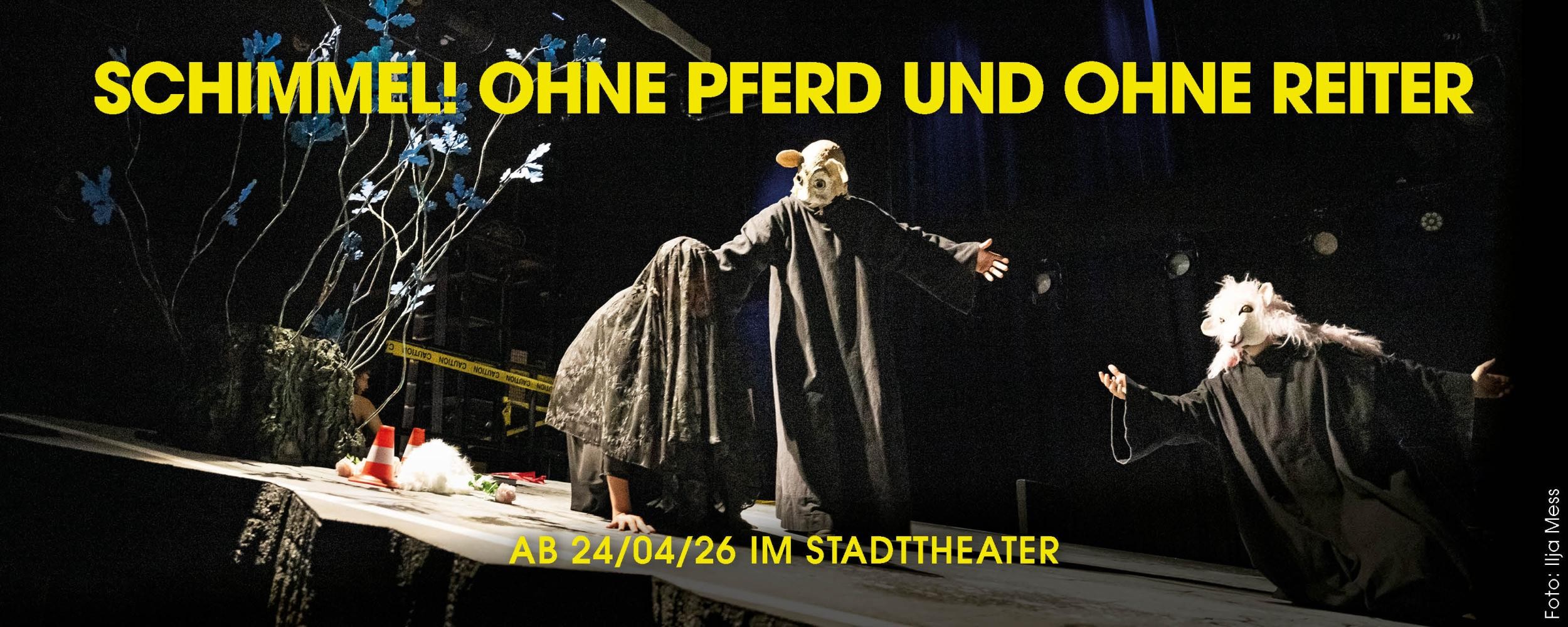 Theater Konstanz – Schimmel! Ohne Pferd und ohne Reiter