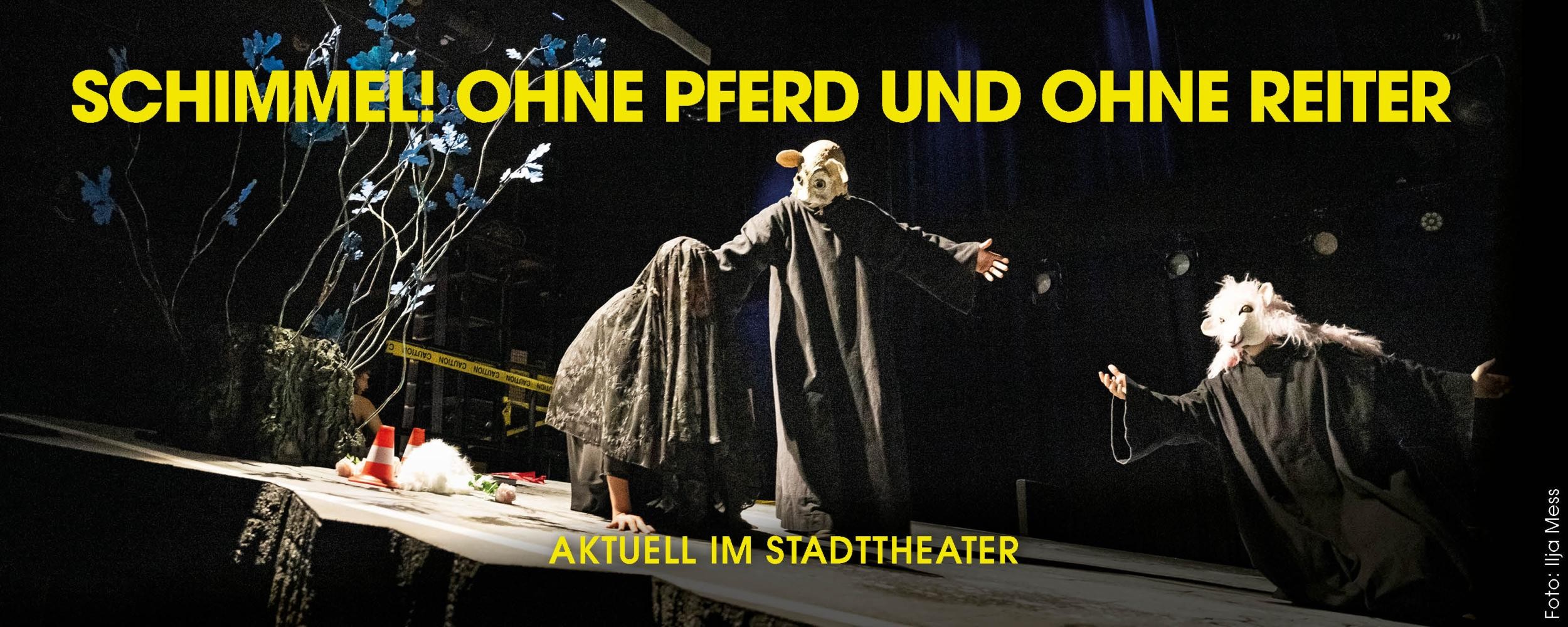 Theater Konstanz – Schimmel! Ohne Pferd und ohne Reiter
